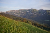 blick_zum_gottesackerplateaucalex_kaiser_bregenzerwald_tourismus4463.jpg